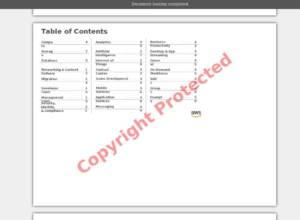 Document copy protection